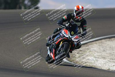 media/Sep-21-2025-TrackDaz (Sun) [[277c75b276]]/C Group/1240pm (Turn 2)/